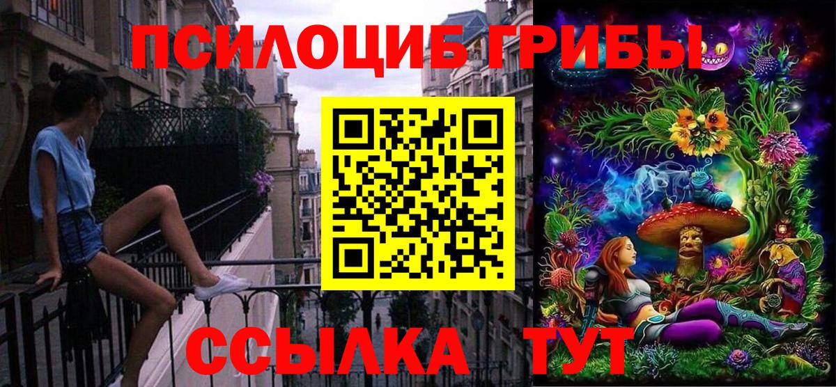 что такое наркотик  Вход с VPN  Тихорецк  Псилоцибиновые грибы Magic Shrooms 